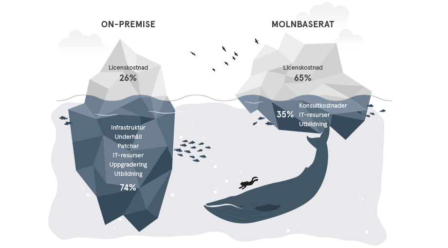 Vad ingår i den totala ägandekostnaden för ett ERP-system?