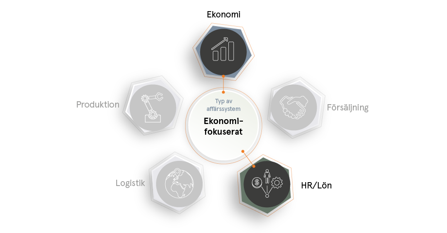 Detta ingår i ett ekonomifokuserat ERP-system