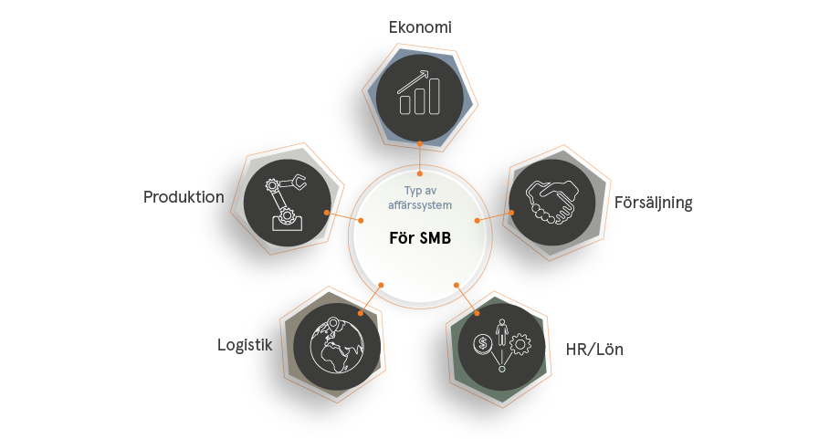 Detta ingår i ett ERP-system för SMB
