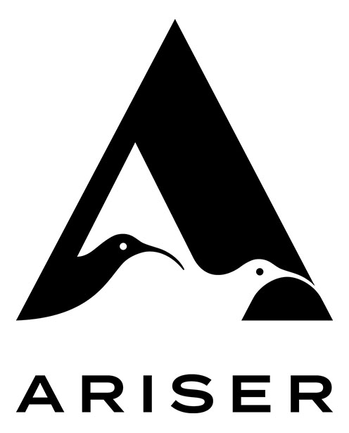 Ariser - Visar vägen till digitalisering